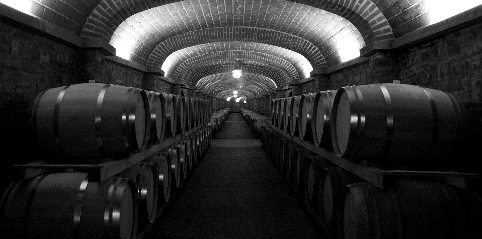 Brunello di Montalcino Tour